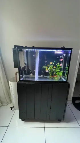 Aquario 100 litros com móvel para base e diversos acessórios