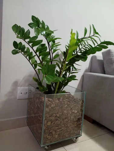 Vaso com planta 38cm de altura por 38cm de largura