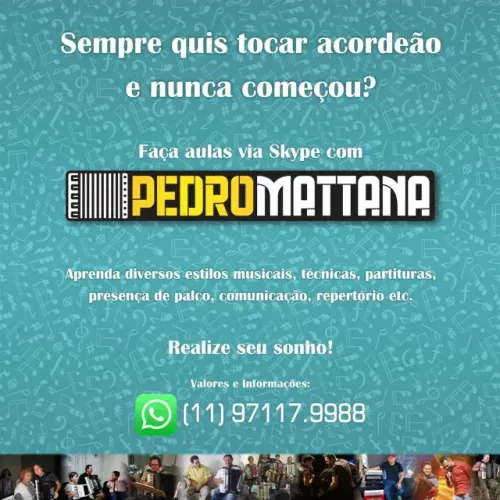 Aulas online - SANFONA - ACORDEÃO - ACORDEON - Ribeirão Preto