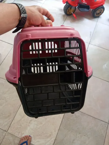Caixa de transporte de pet cão e gato