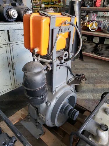 Motor Agrale M85 9 cv Diesel Revisado