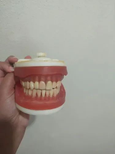 Manequim Dentística PRONEW