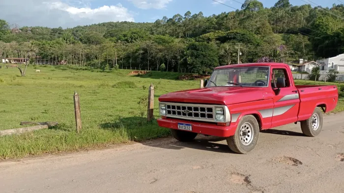 Ford F-1000 Cd/blazer 3.9 Dies. 1985