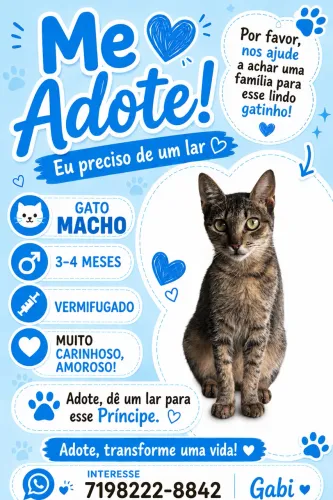 Doação Animal