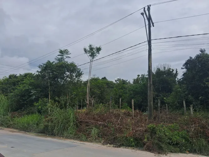 Terreno no ramal do brasileirinho, na principal.