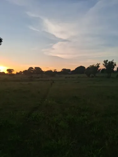 Área rural 66 hectares