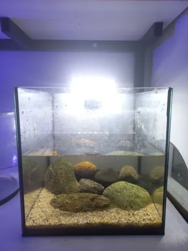 Aquario 15 litros