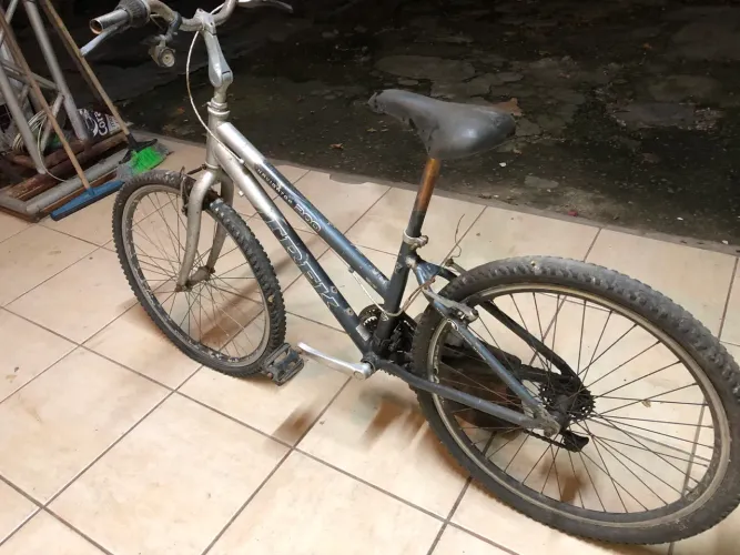 Bicicleta