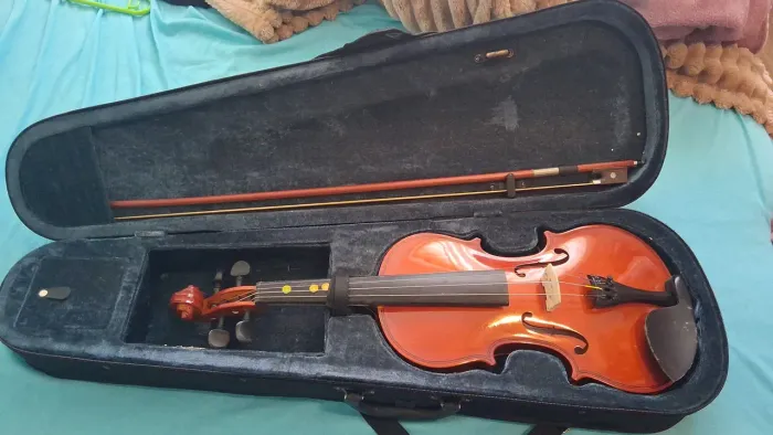 Violino vivace