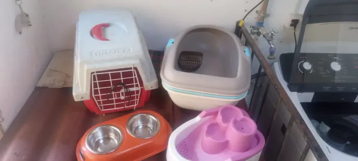 Artigos para gatos