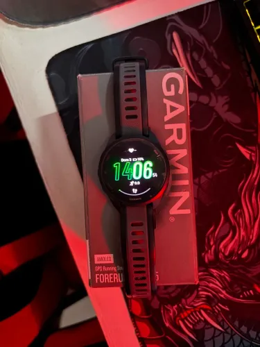 Garmin 165
