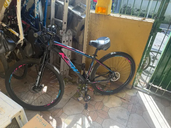 Bicicleta