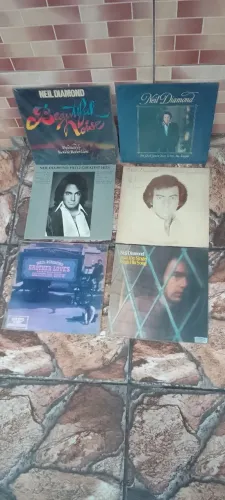 Lote de disco de vinil 