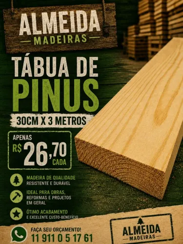 PINUS NA PROMOÇÃO