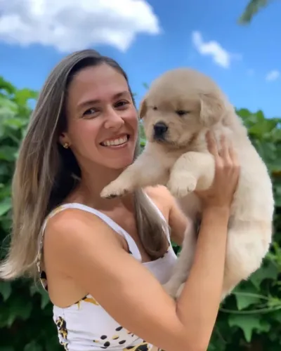 Golden Retriever BH