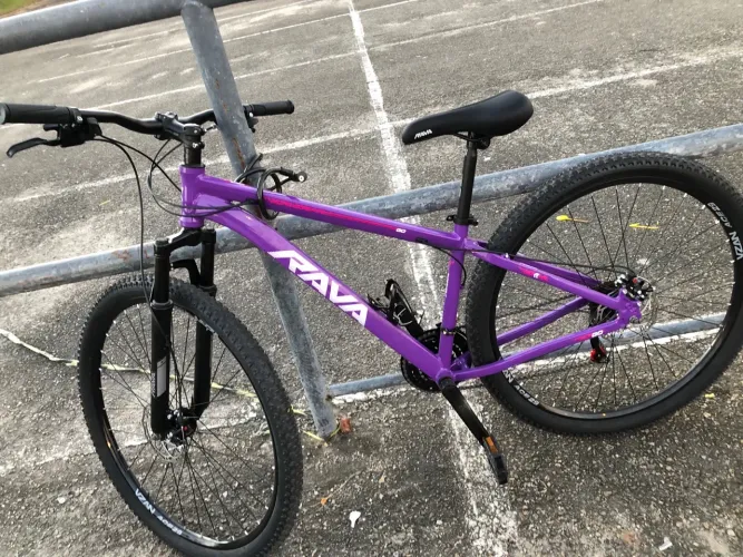 Bicicleta Aro 29