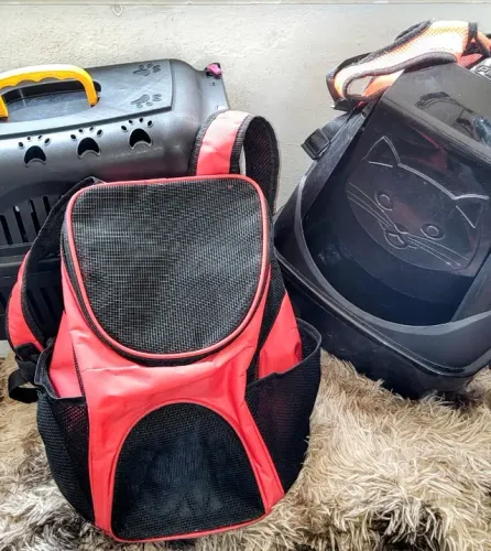 Mochila para pet, pequena, flexível, tela de ventilação + brinde!