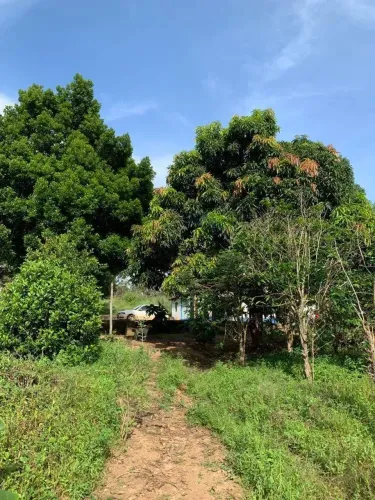 Sítio com 3 quartos à venda, 280000 m² por R$ 300.000 - Zona Rural - Rio Pardo de Minas/MG