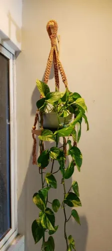 Suporte de plantas macramé