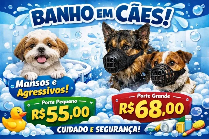 BANHO CÃES