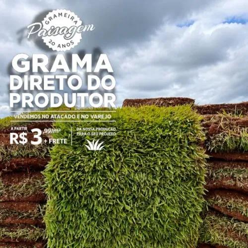 Grama Esmeralda