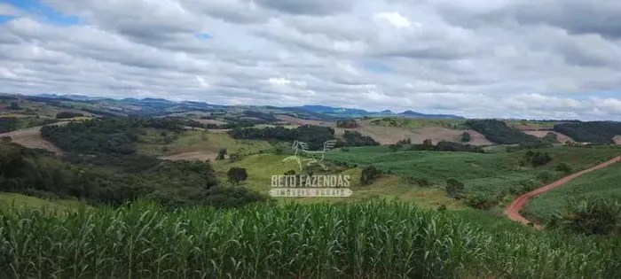 Imóvel para venda possui 3581600 metros quadrados em Centro - Manoel Ribas - PR