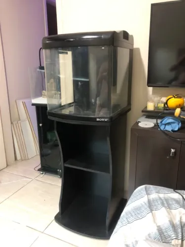 Aquário curvo Boyu 80L
