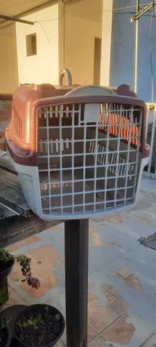 Transporte de animais em carro etc.