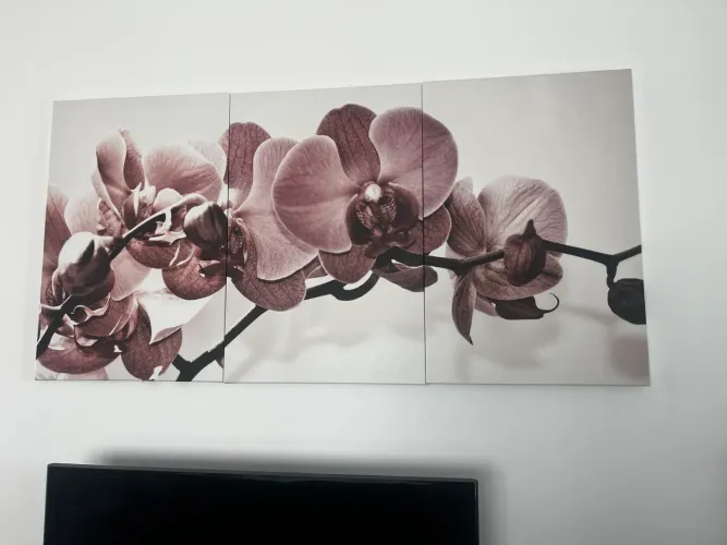 Kit 3 quadros decorativos orquídea 