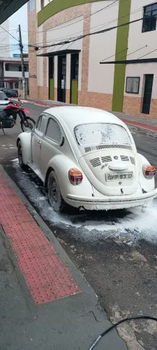 Volkswagen Fusca Fusca (gasolina) 1996