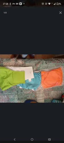 3 fralda reutilizável pet macho,