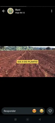 Temos caminhão fechado de Grama batatais excelente grama