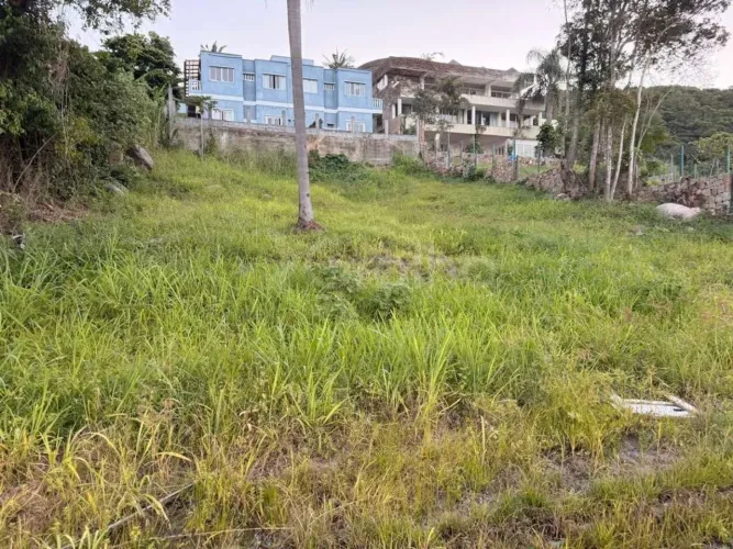 Terreno para Venda em Florianópolis, Praia Brava