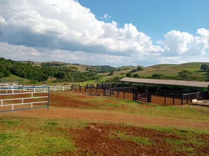 Chácara-Imóvel-Rural à venda por R$ .00, 6969600.00 m2 - RURAL - NOVA TEBAS/PR