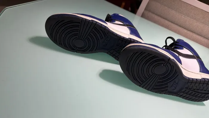 Tênis Nike dunk