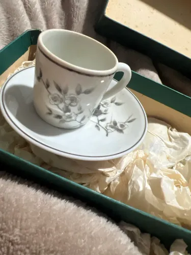 conjunto xícaras e pires porcelana schmidt brasil 6 conjuntos