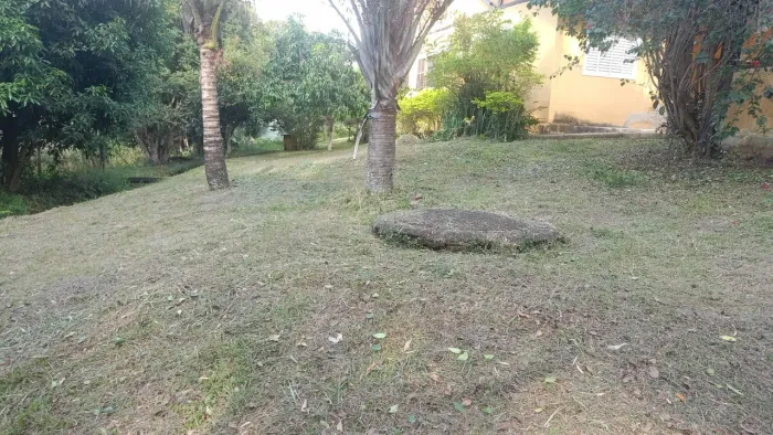 Limpeza