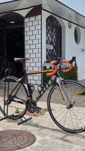 Bicicleta Speed ROAD