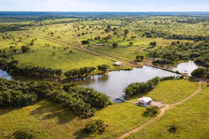 Fazenda Tocantins PERMUTA