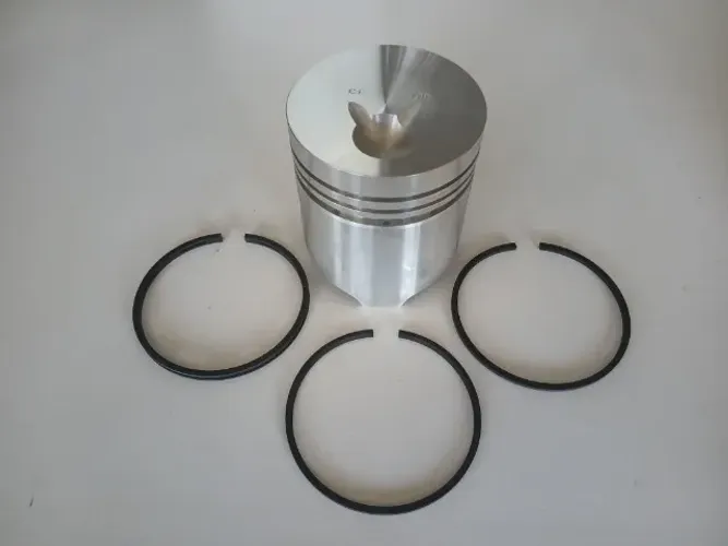 Pistão com jogo de anéis de segmento 1 mm para motor Agrale M90.