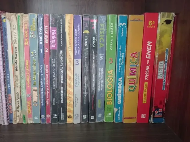 Livros didáticos 