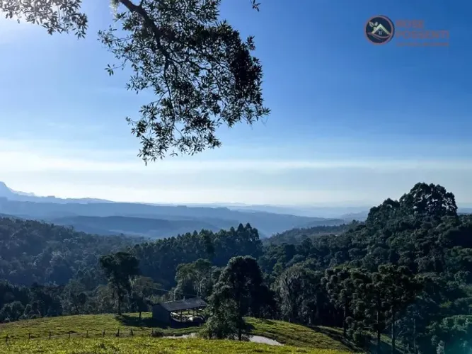 Sítio na Serra Catarinense - 20 hectares