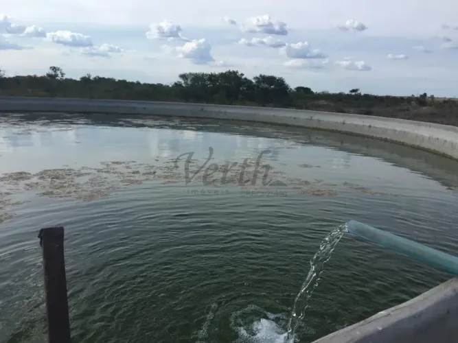 FAZENDA A VENDA, OESTE DA BAHIA, REGIÃO DO MATOPIBA, 5000Ha