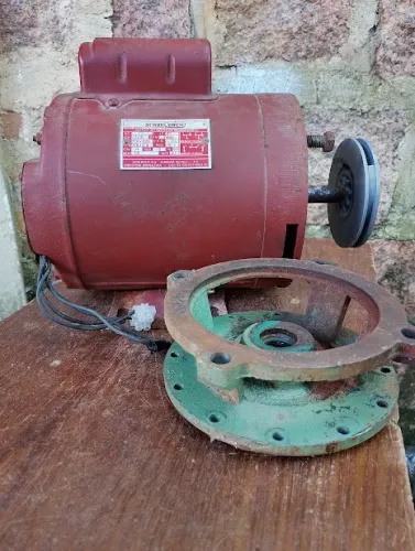 Motor Elétrico 1/3 cv 110V/220V