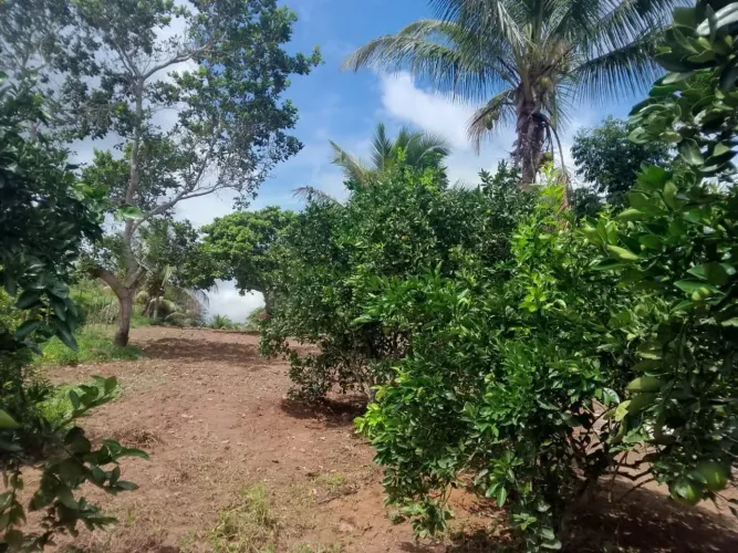 Chácara 2.8m2 em Pojuca ba 80k