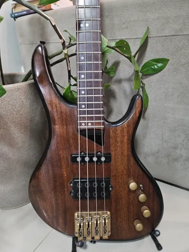 Baixo Washburn RB2002 anos 90, Ativo, 24 trastes! 