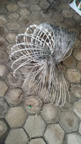 Concertina