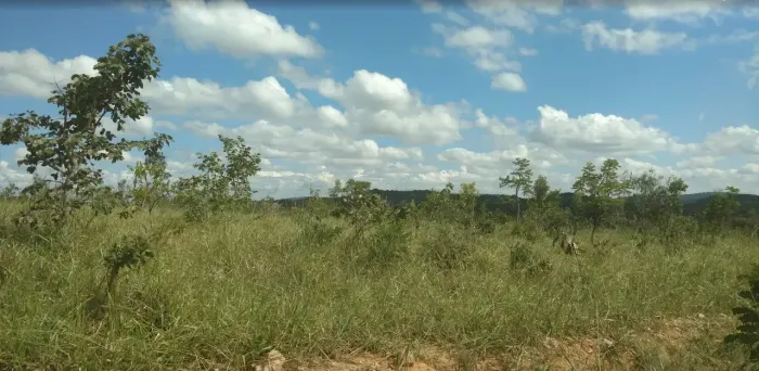 Imóvel para venda tem 20.000 metros quadrados em Zona Rural - Cordisburgo - MG