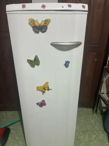 Vendo esse Freezer Vertical.