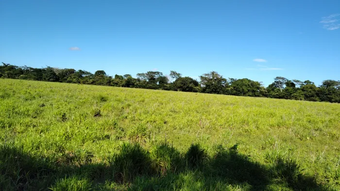 Fazenda à venda de 465 Ha - Ibiaí - MG